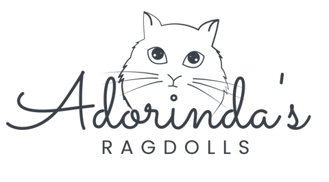Adorinda's Ragdolls